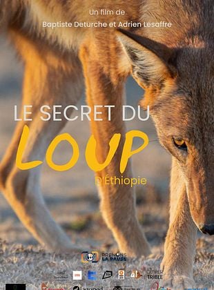 Avant-première : Le secret du loup d’Éthiopie – En présence du réalisateur Baptiste Detruche