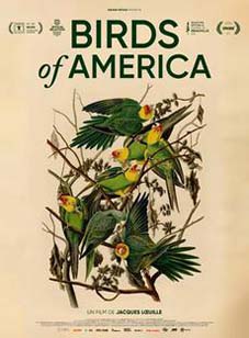 BIRDS-OF-AMERICA