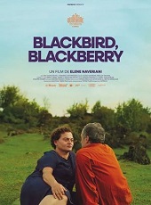 Blackbird-Blackberry