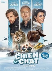 Chien-et-Chat