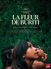 La-Fleur-de-Buriti