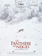 La-panthere-des-neiges