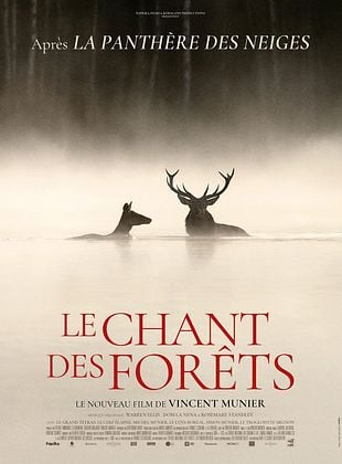 Le Chant des forêts