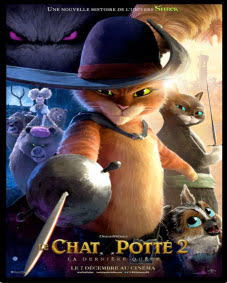 Le-chat-potto-2