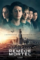 Le-labyrinthe-remo-de-mortel