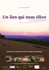 Un-lien-qui-nous-e-yle-ove