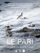 le-pari